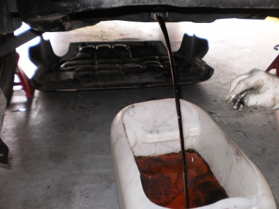 P3250592.JPG (482.33 KiB) Zobrazeno 95427 krát P3250592.JPG